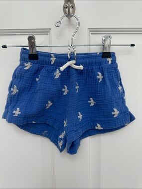 Tiny Cottons Blue Bird shorts 3T